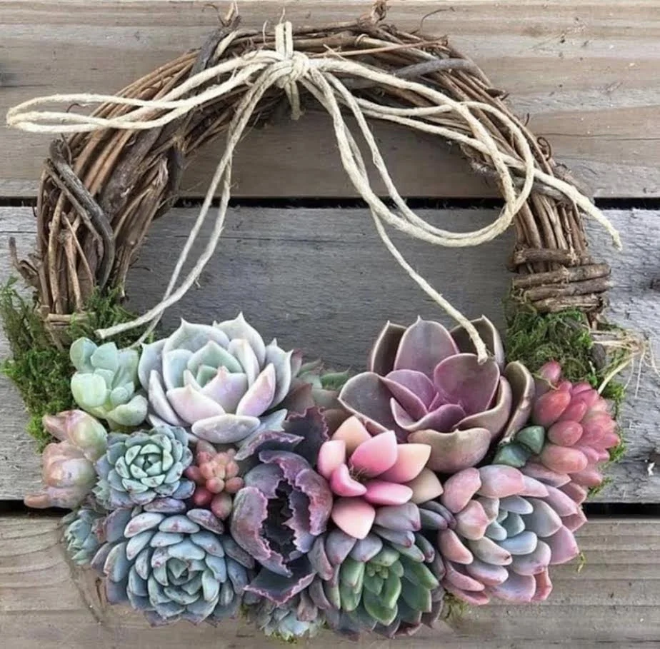 Living Spring Succulent Wreath