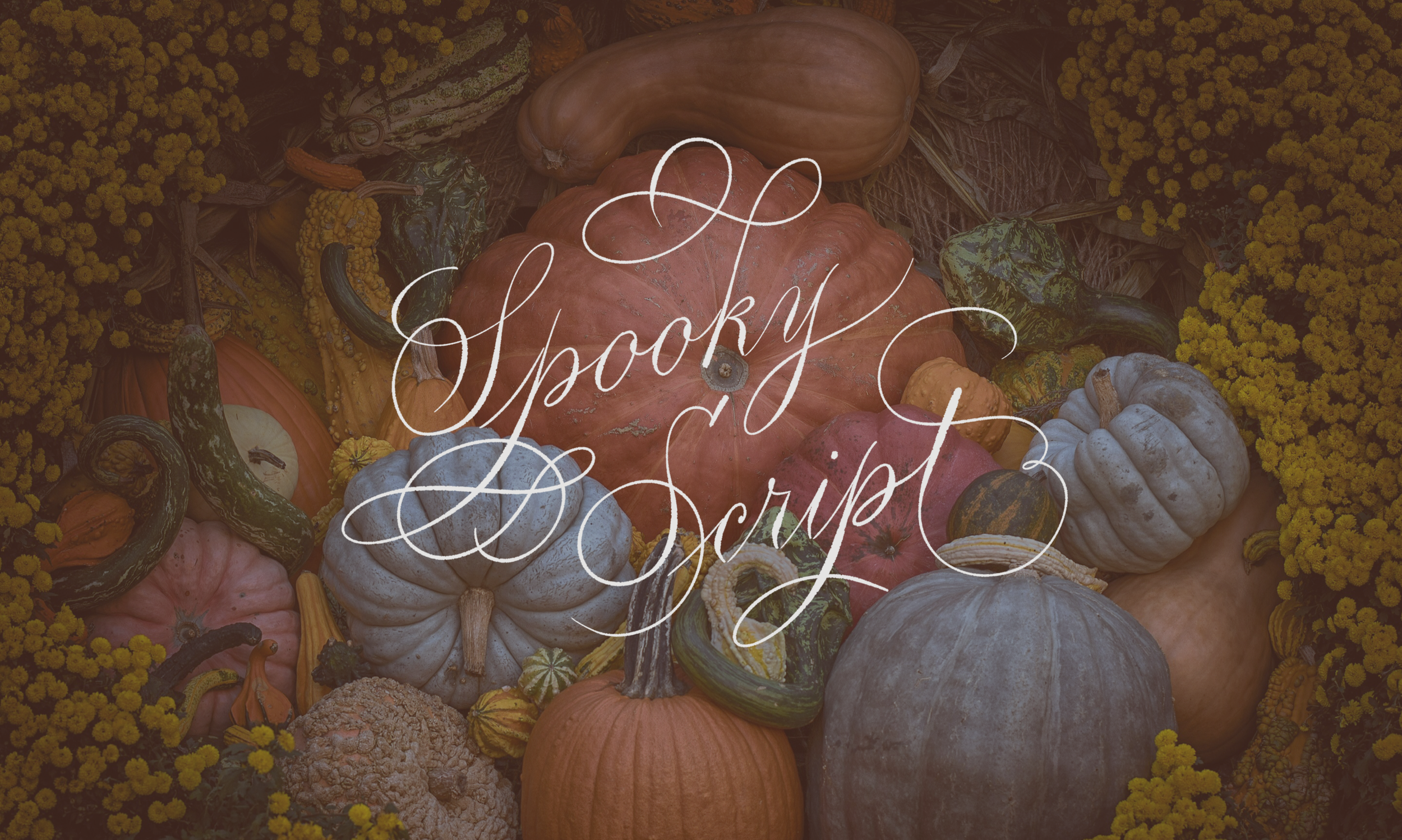 Spooky Script with Allocco Designs