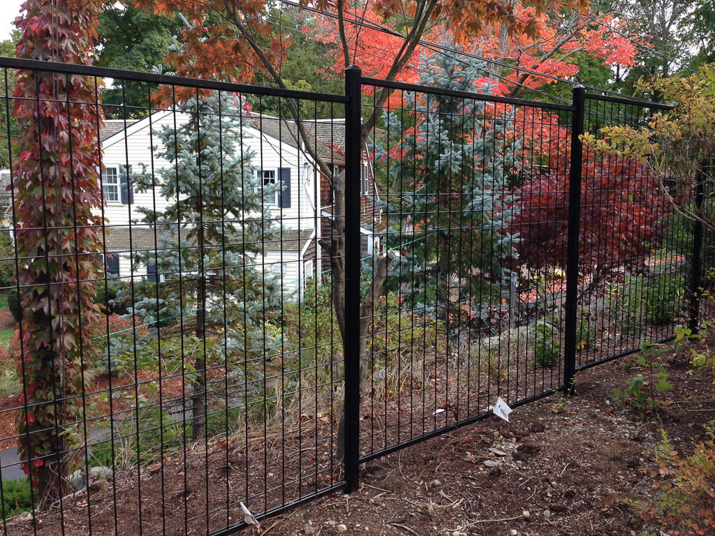 Steel wire fence in Newton2