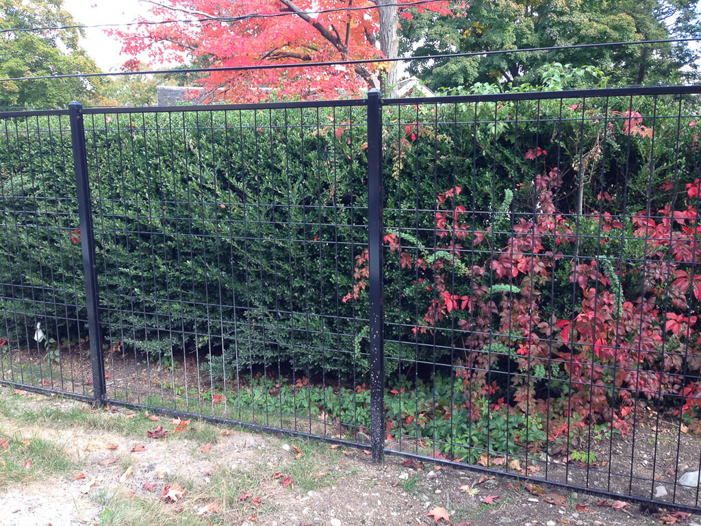 Steel wire fence in Newton4