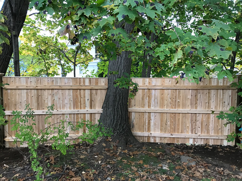 cedar board fence around tree