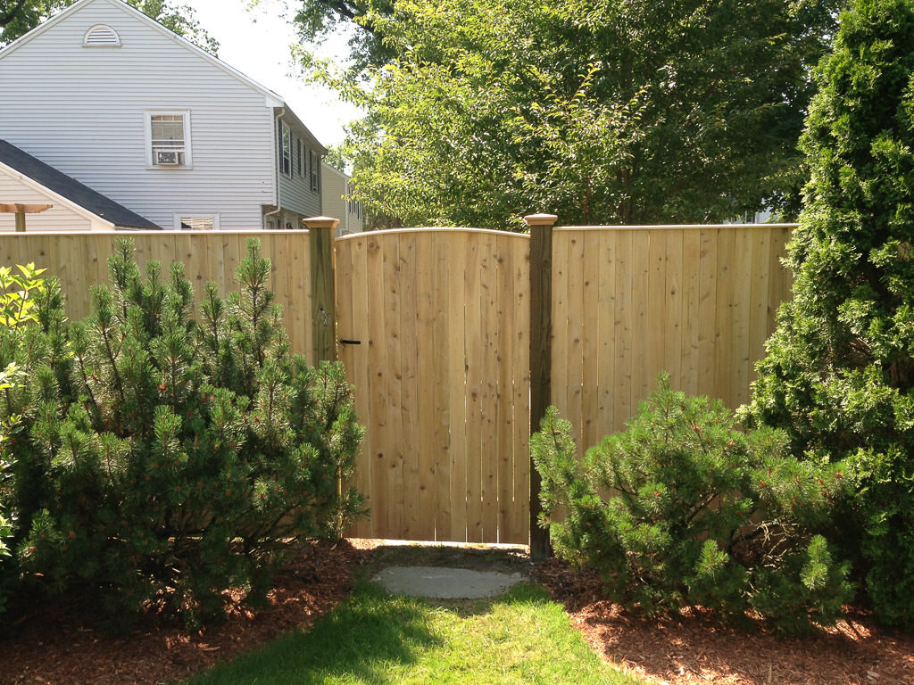 cedar reverse scallop board gate front in Belmont