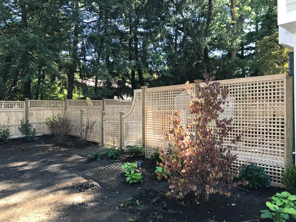 Lattice Fensu