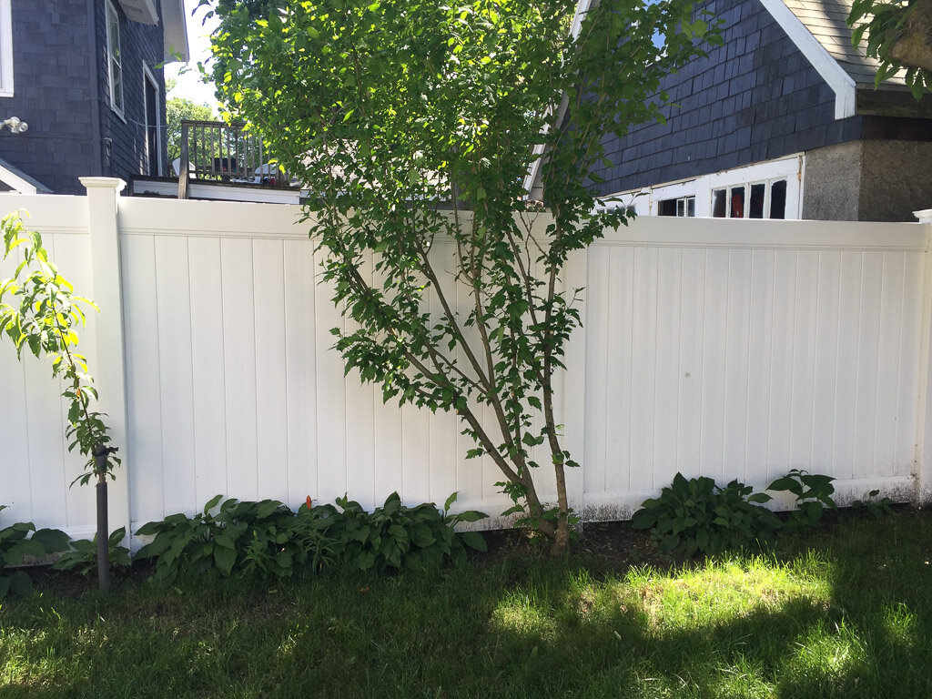 white vinyl privacy in Winchester