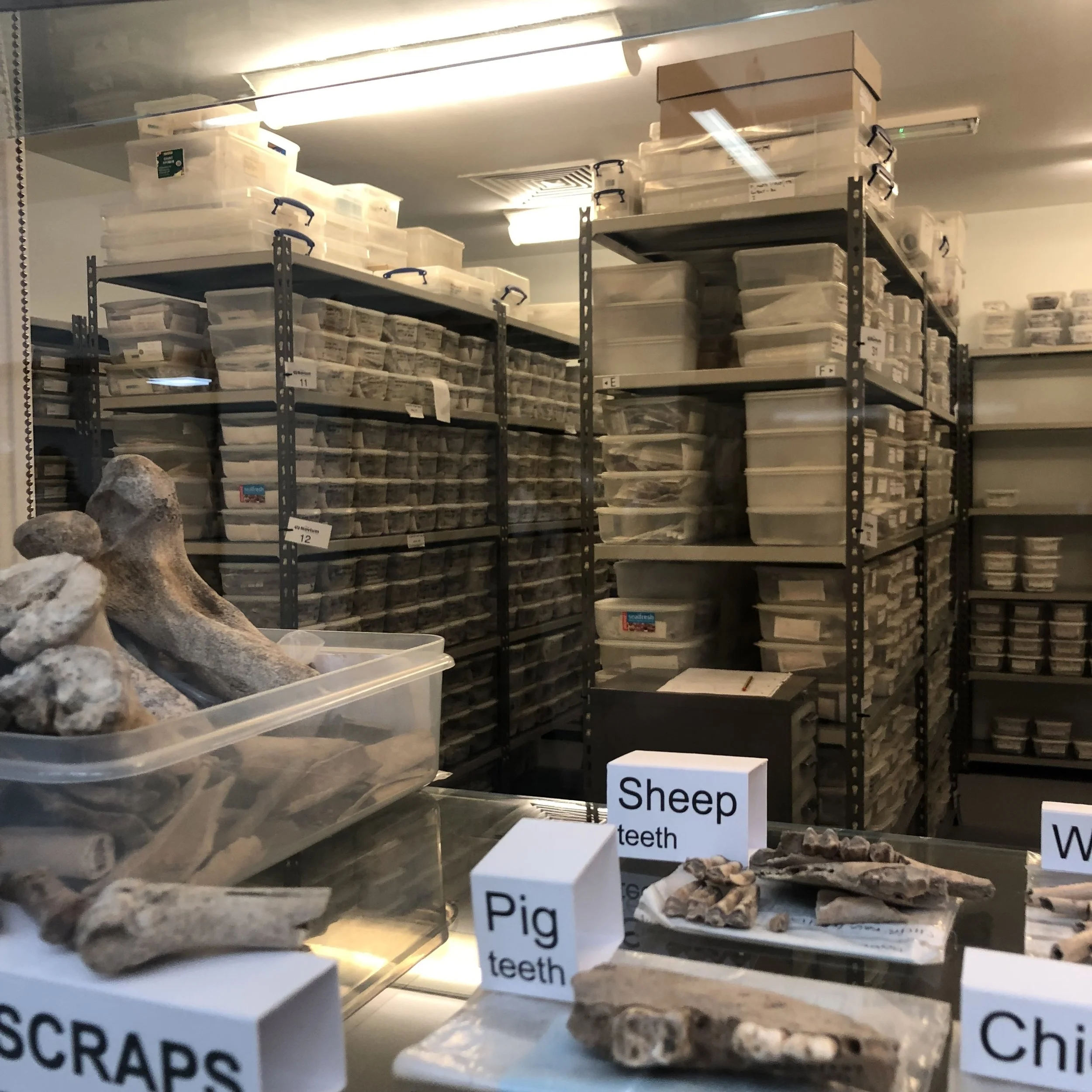 OPP Day 5: Stonehenge and Fishbourne Roman Palace 