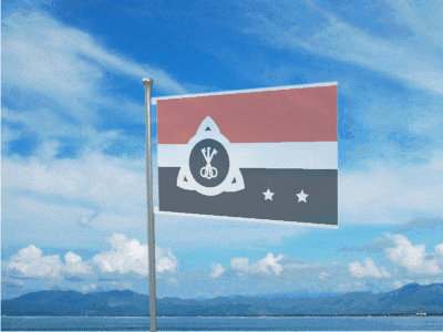 Animated flag flying simulation with added white trim