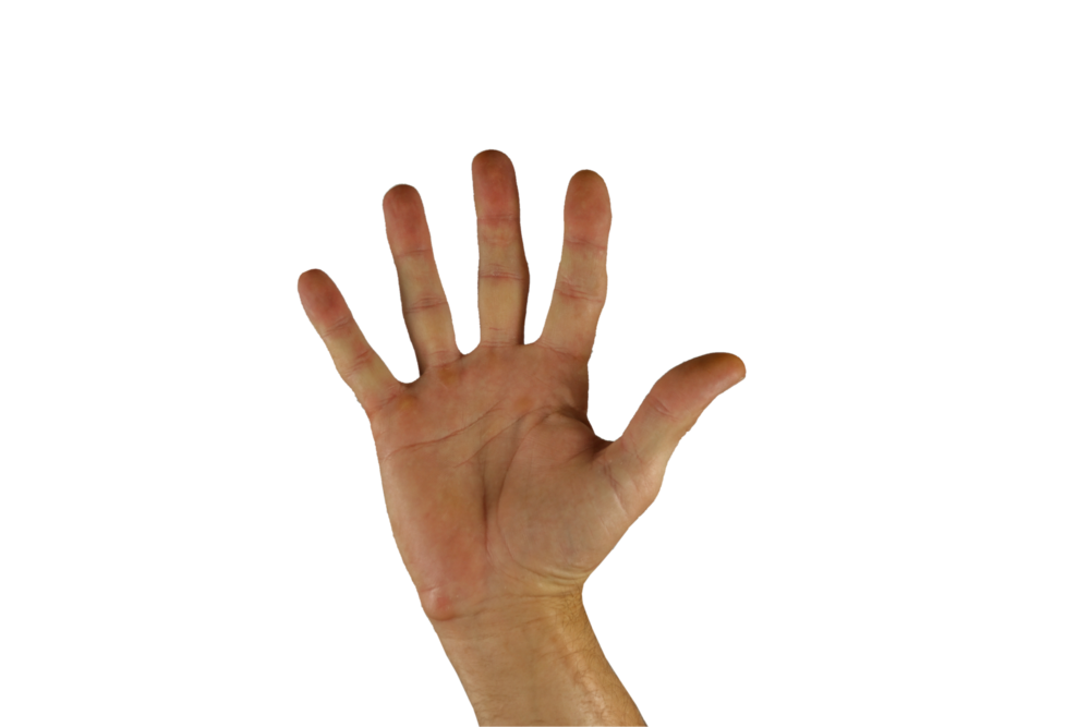 five hand.png