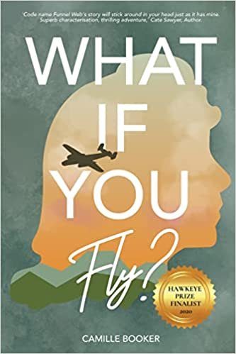 What if you fly.jpg