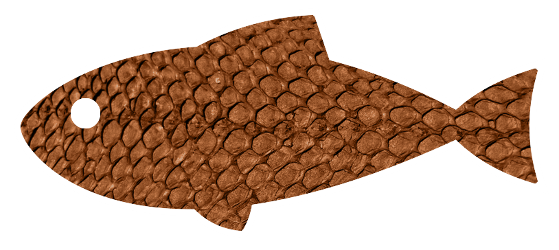 eye Genuine fish Leather 2.png