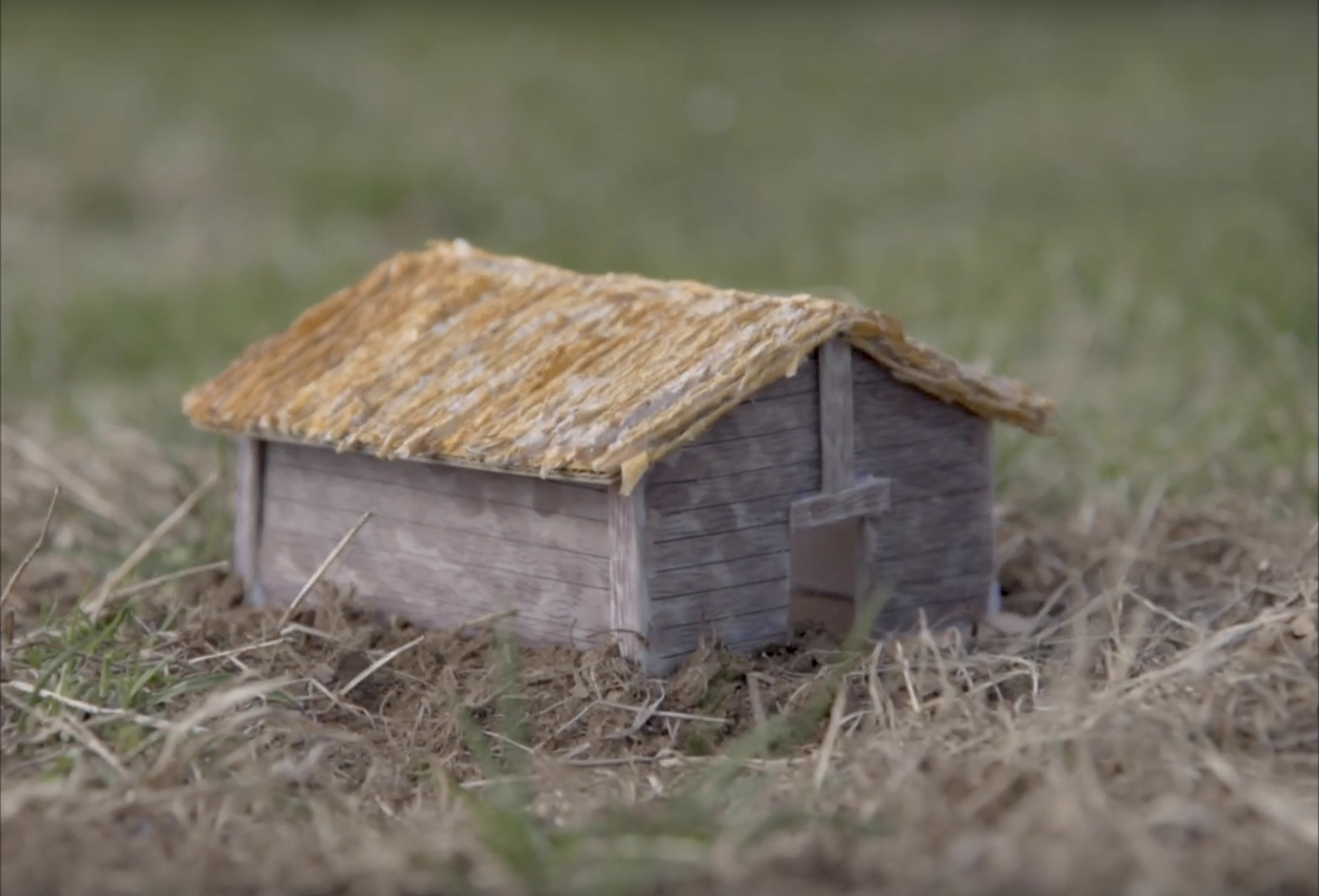  Cardboard house  
