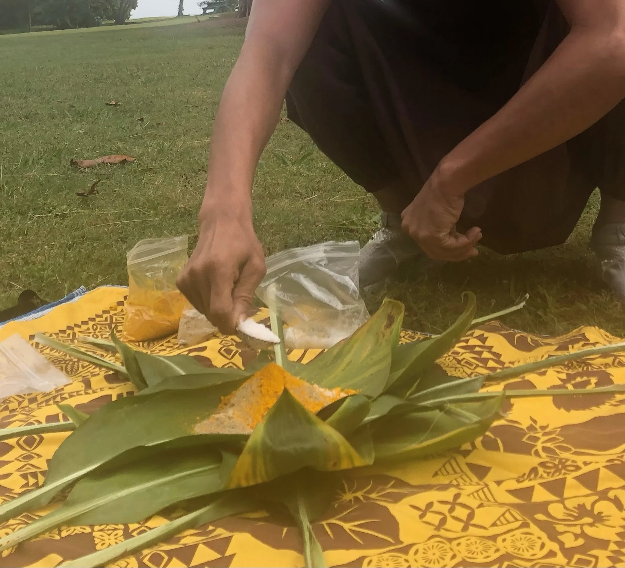 Edible Tales: Ho`okupu / ʻawa, ʻolena & kalo (Hawai`i)