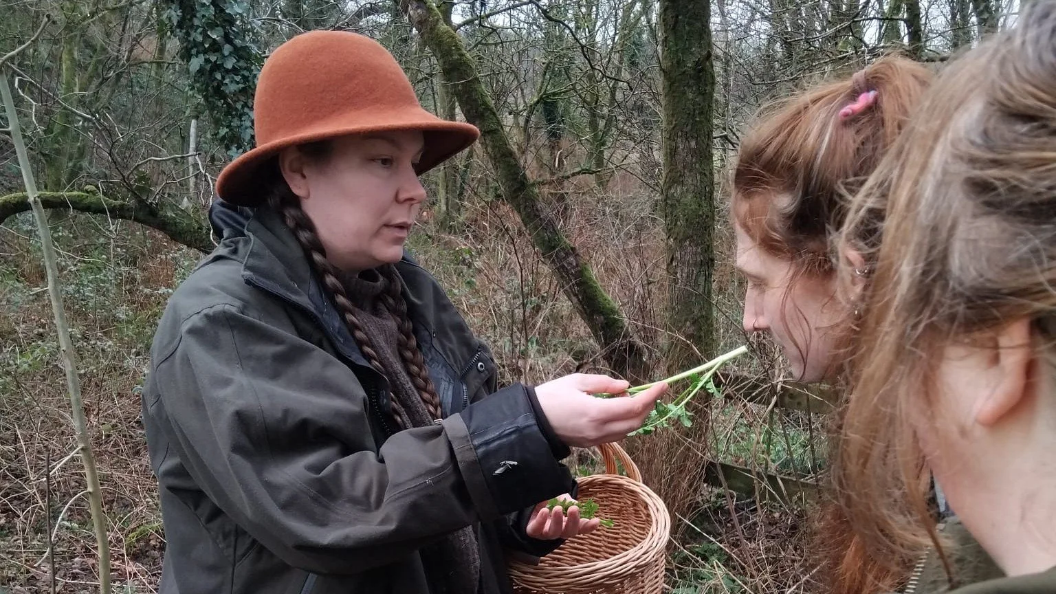 Edible Shores: Discovering Arran’s Winter Wild Foods