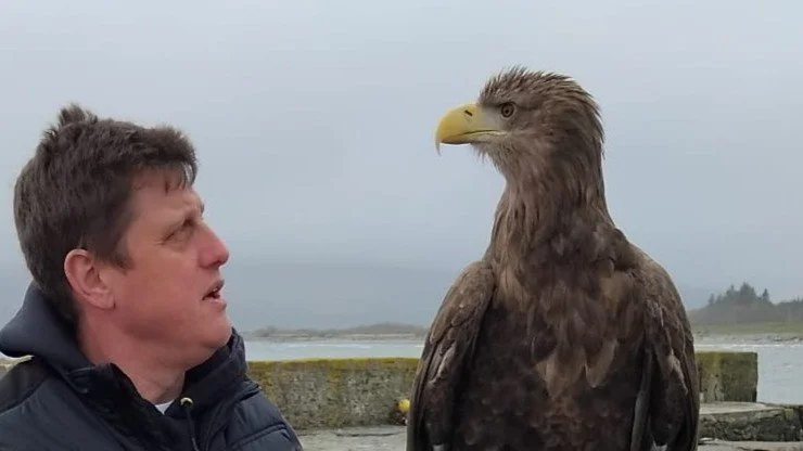 Discover Scotland’s Wildlife: Glen Rosa Restoration and Sea Eagles