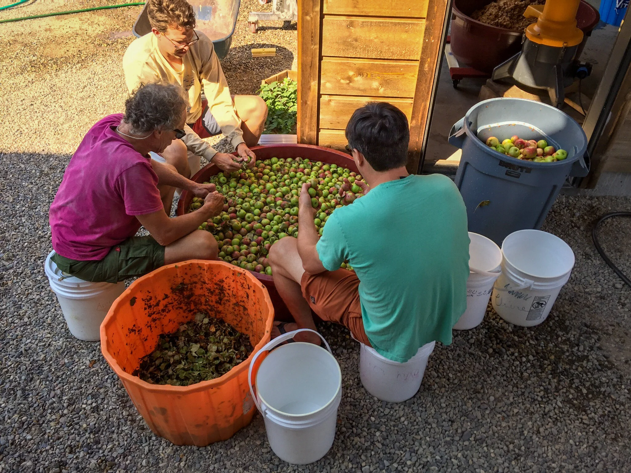 Farmstead Cider - Making Cider In Jackson Hole II