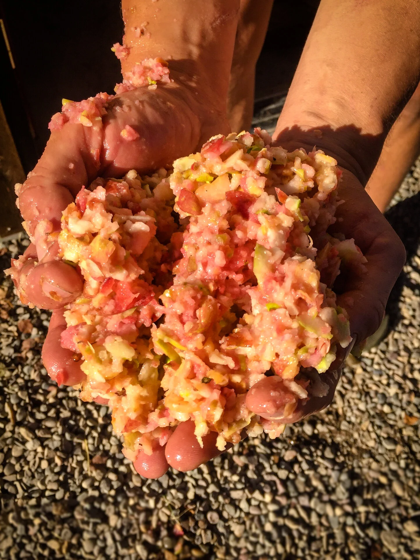 Farmstead Cider - Pressed Apple Mash
