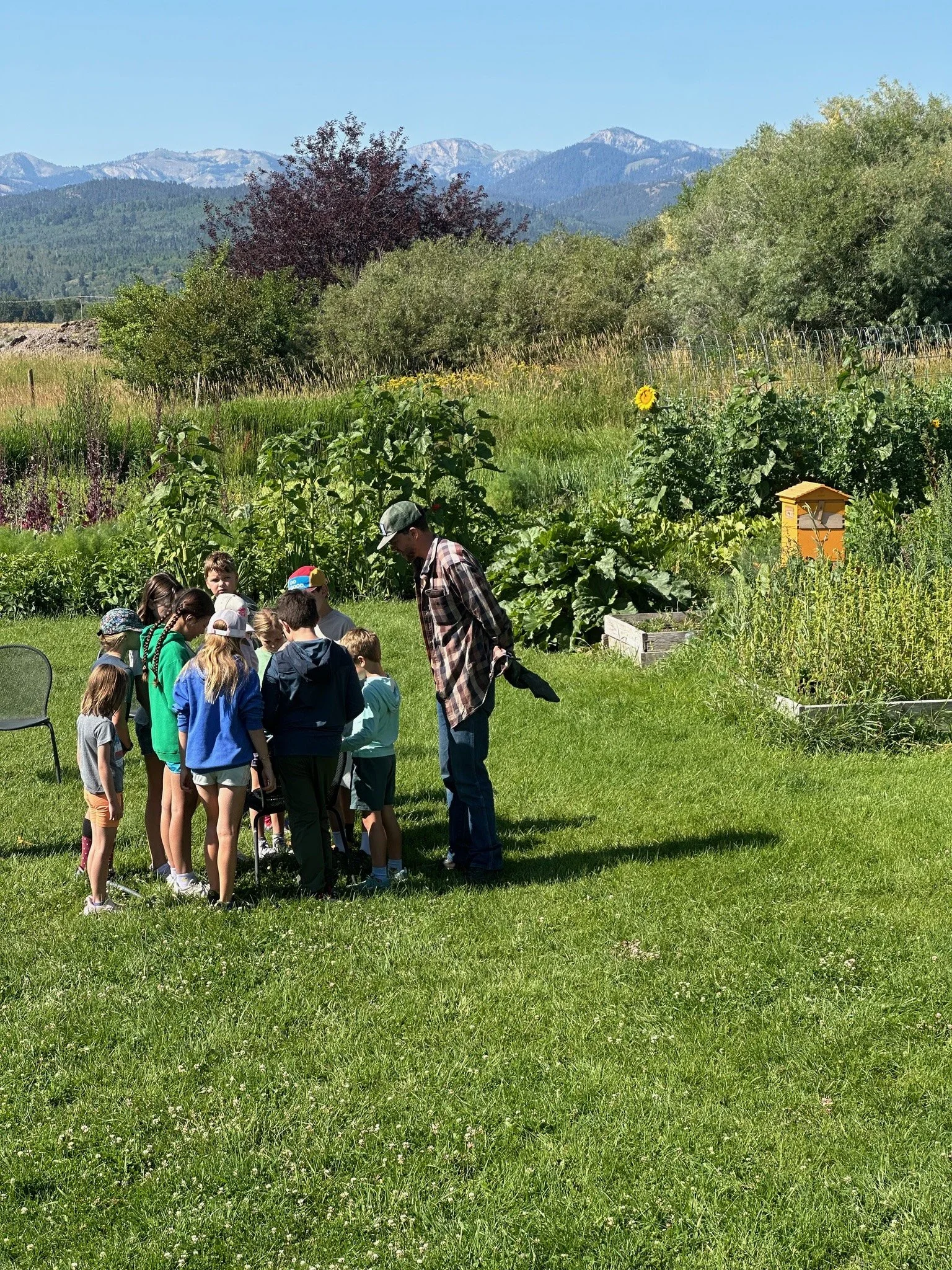 July 20- July 24 KIDS FOOD CAMP