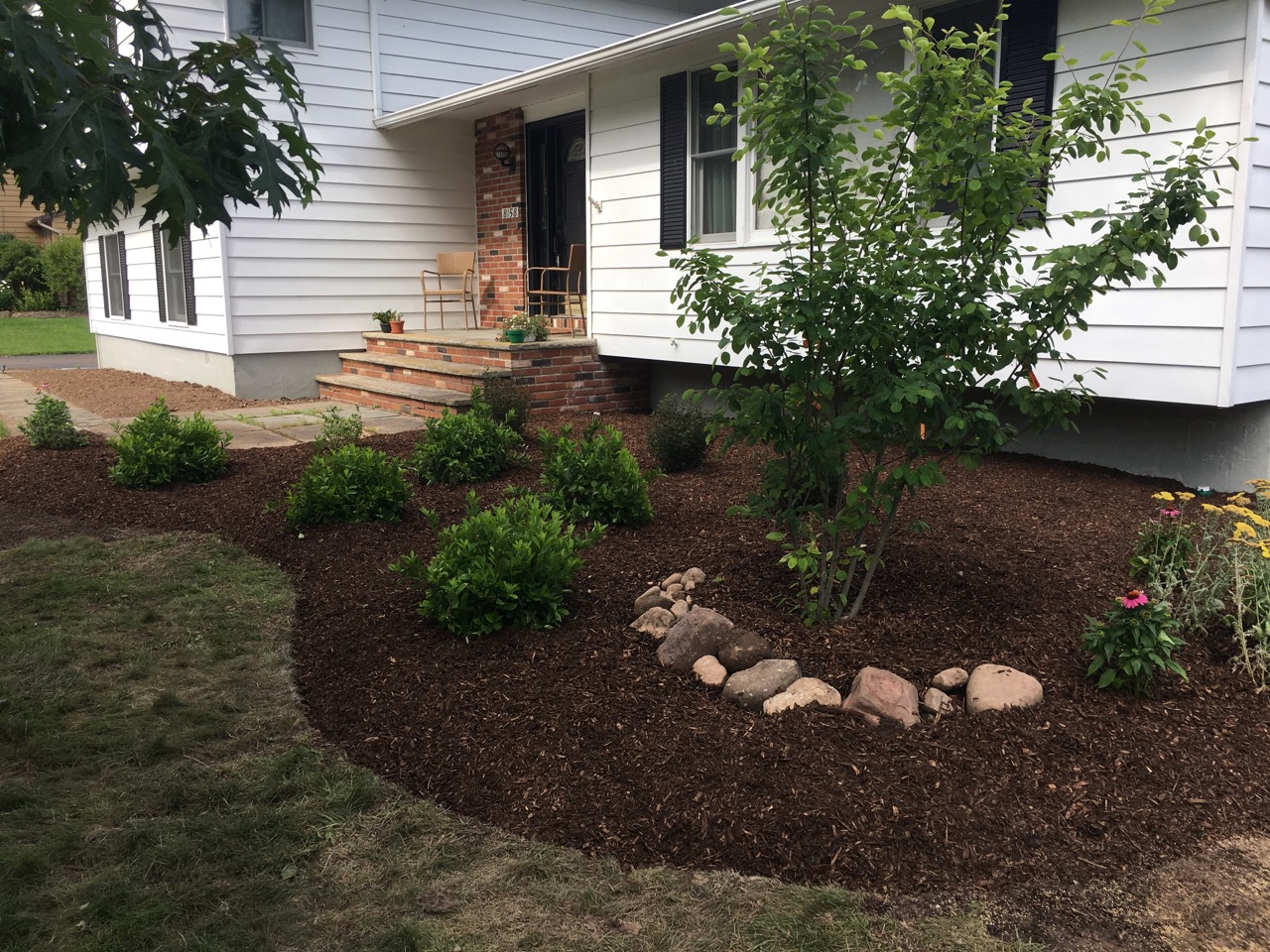Native Planting Baldwinsville