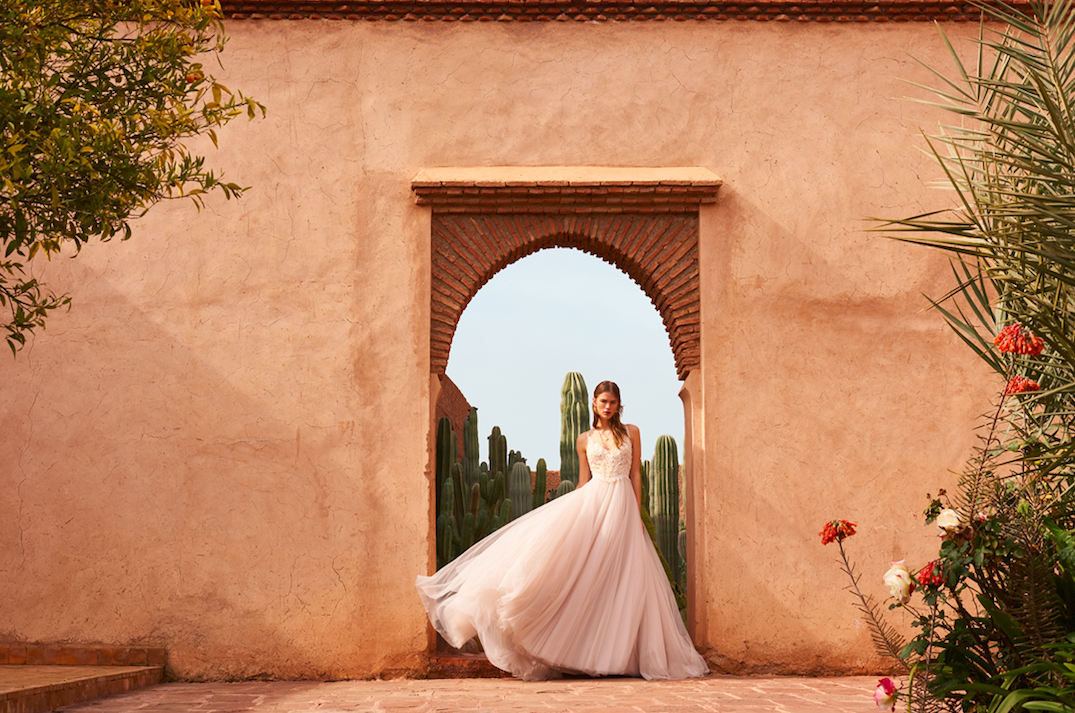 elise wilson stylist