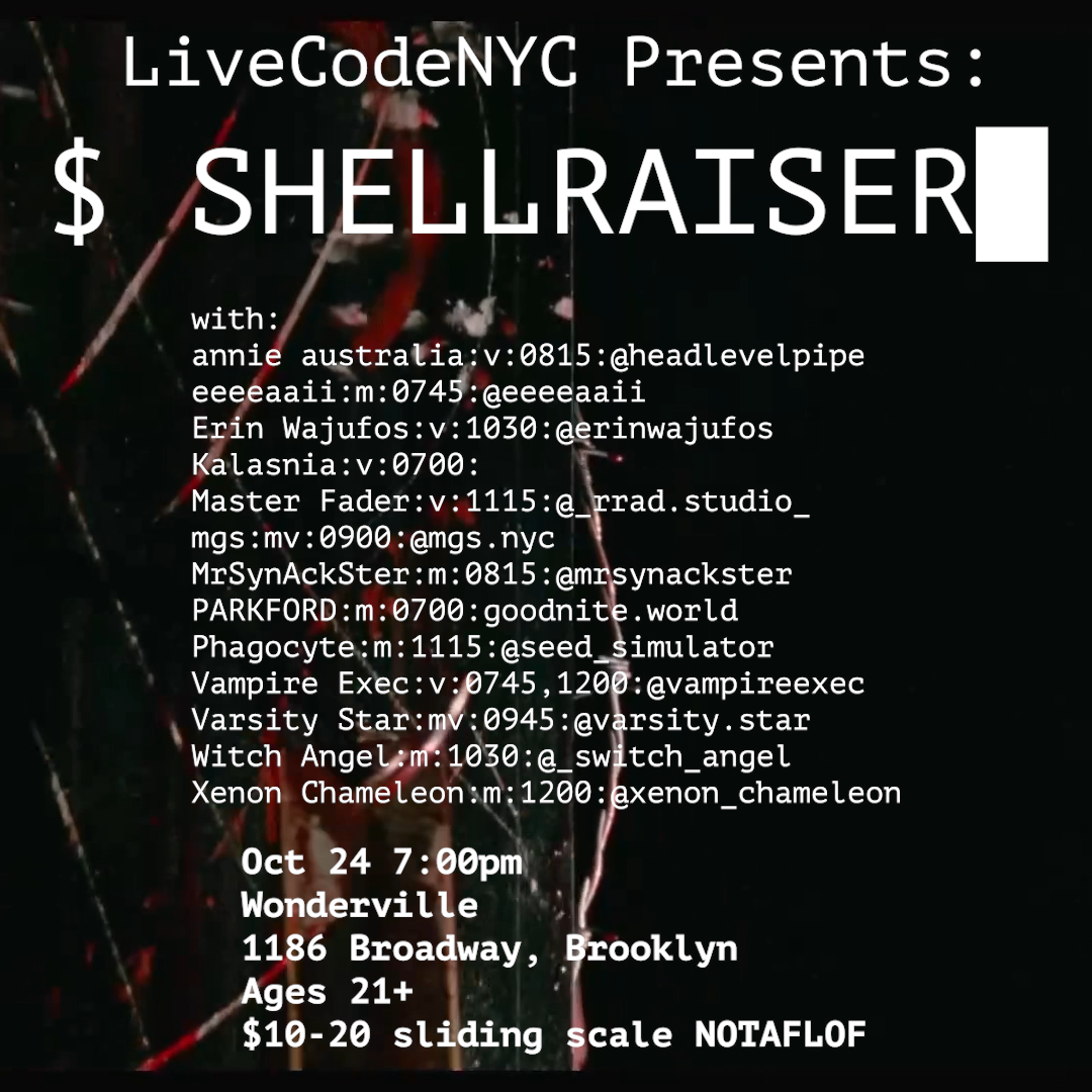 SHELLRAISER Flyer
