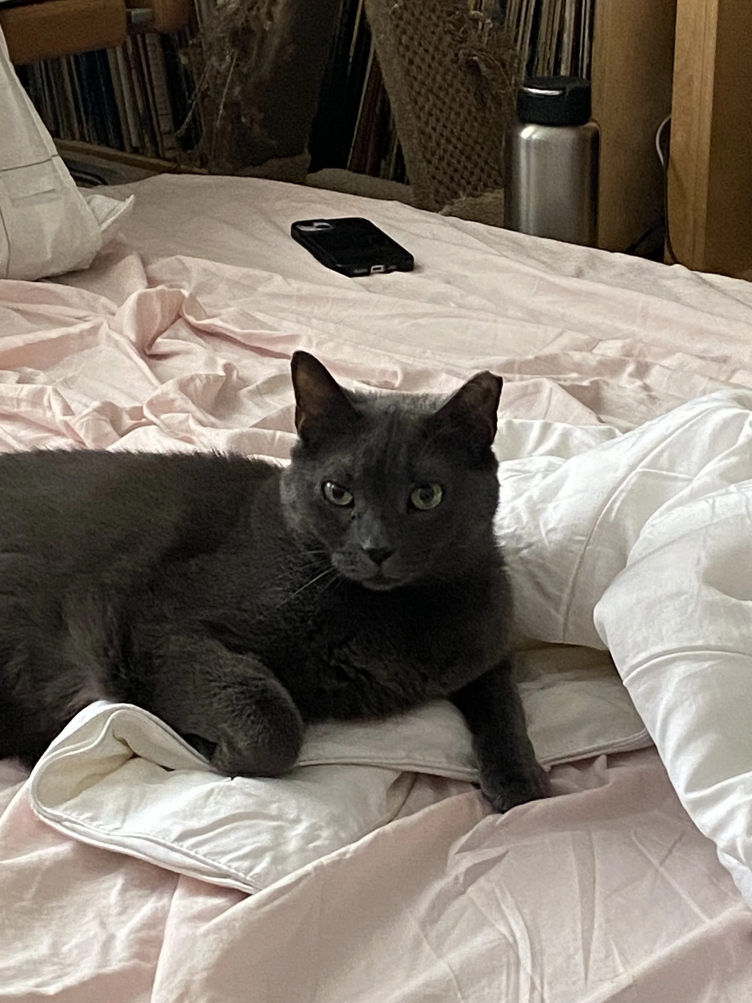 order TBA: Skeeterdemilo, Shari Page, Badharbor