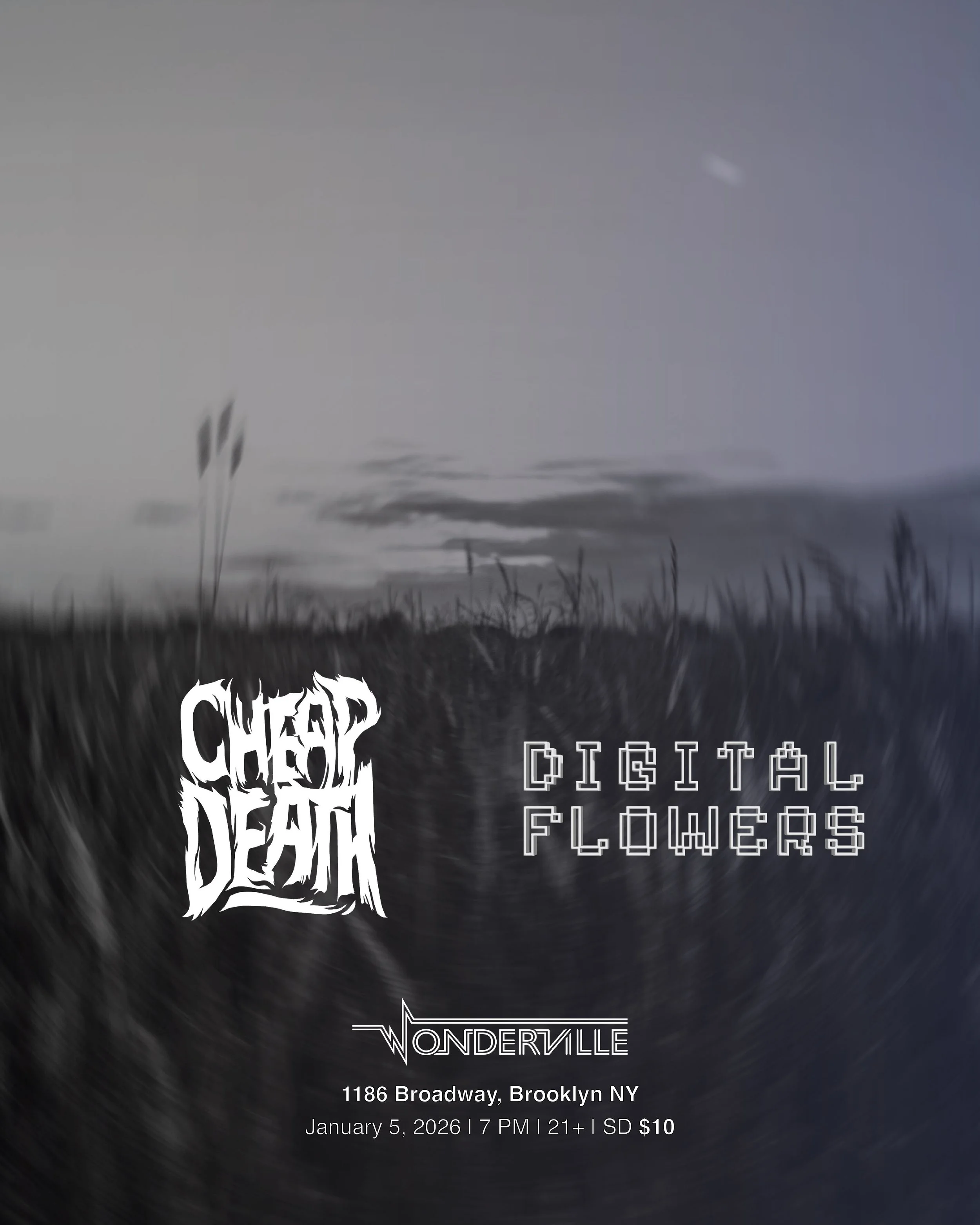 Cheap Death / Digital Flowers