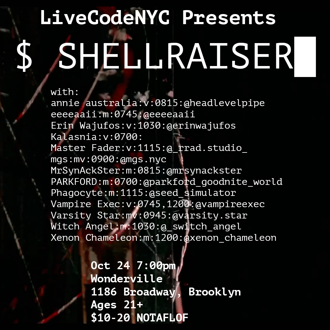 SHELLRAISER Flyer