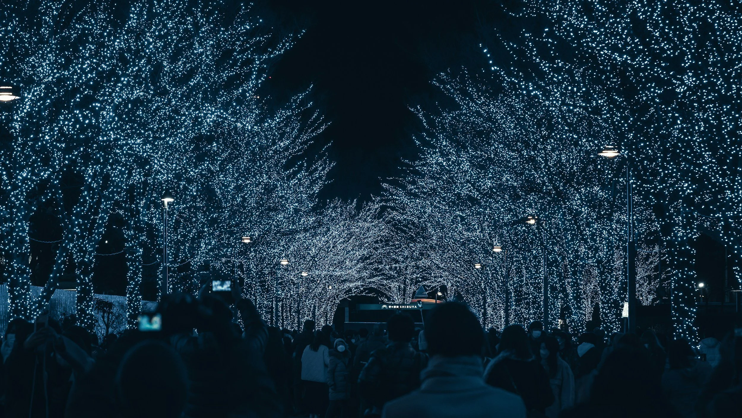 unsplash-image-WuUPXIdLmBw.jpg