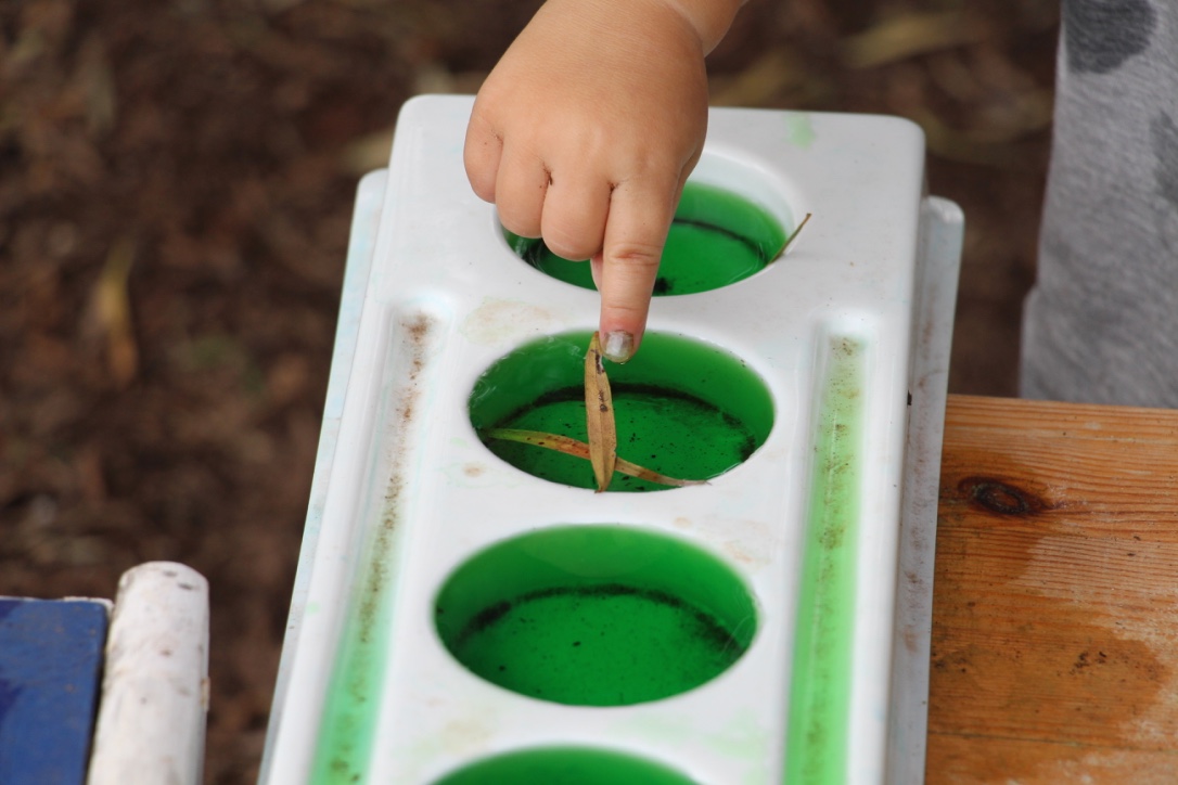Coloured Water and leaves.jpg