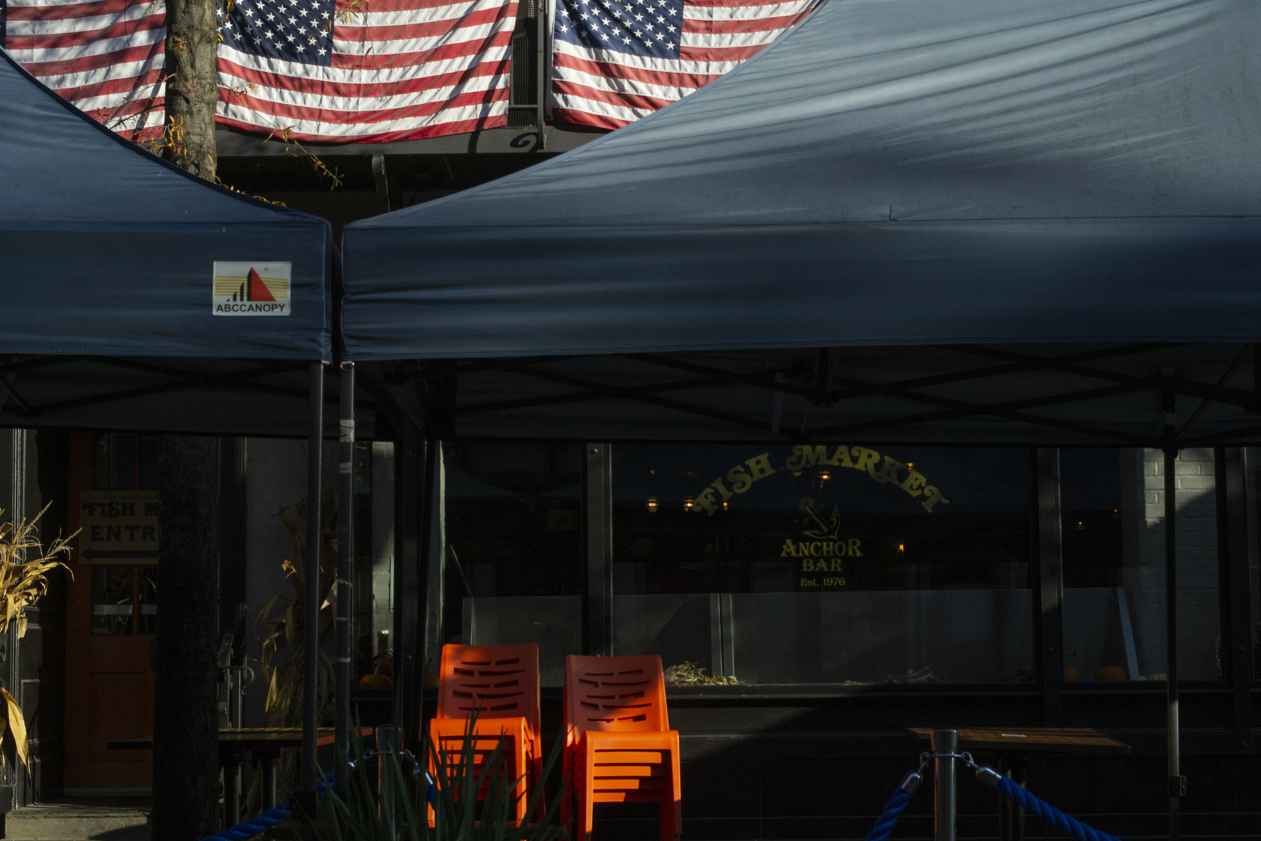 004. 20201108_JAD_0136.JPG