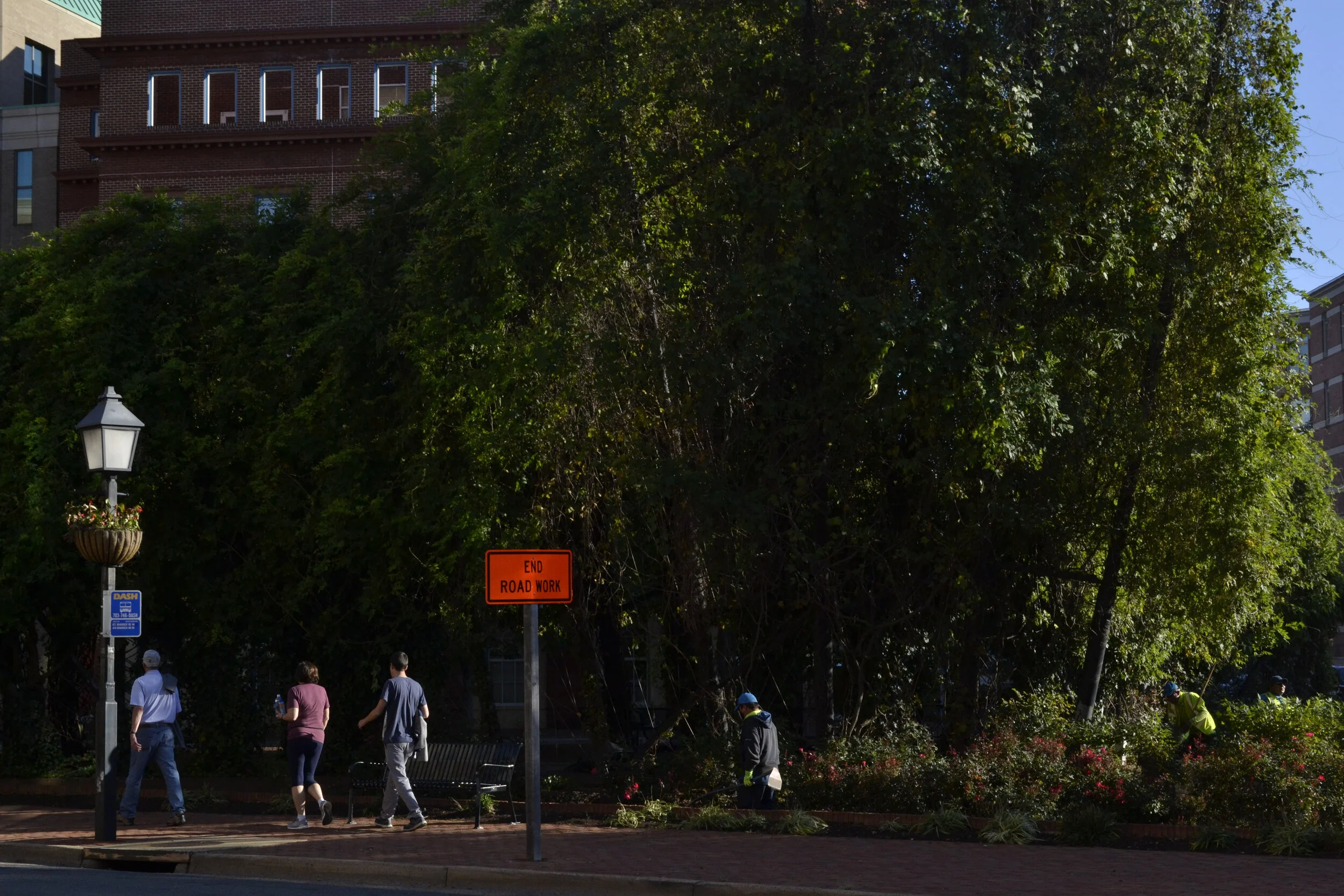 008. 20201108_JAD_0140.JPG