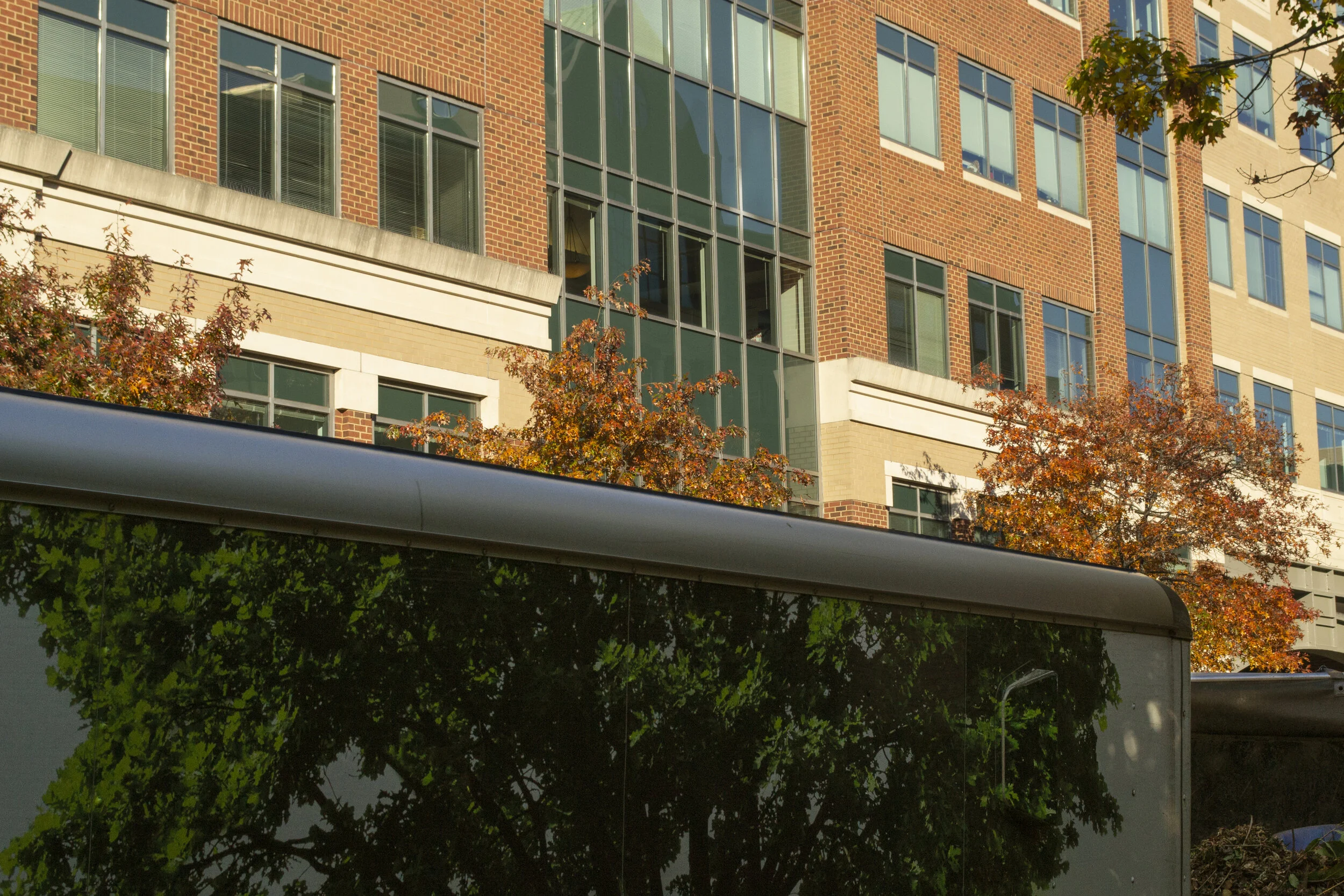 007. 20201108_JAD_0139.JPG