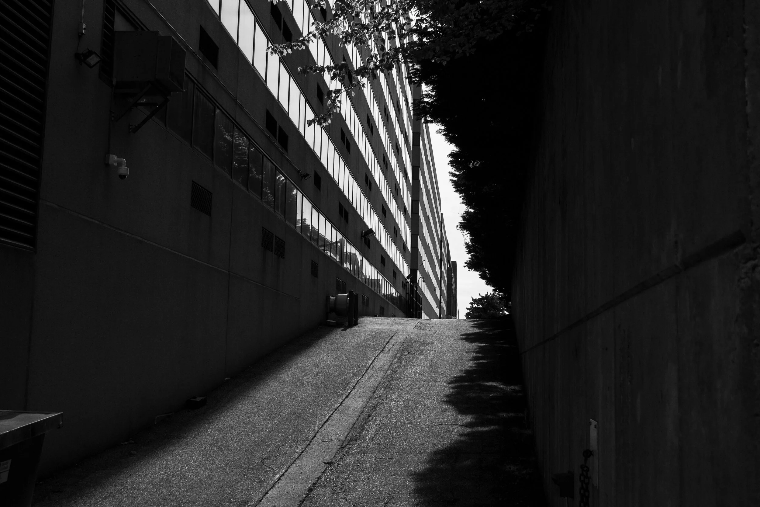 James Dingman_002.JPG