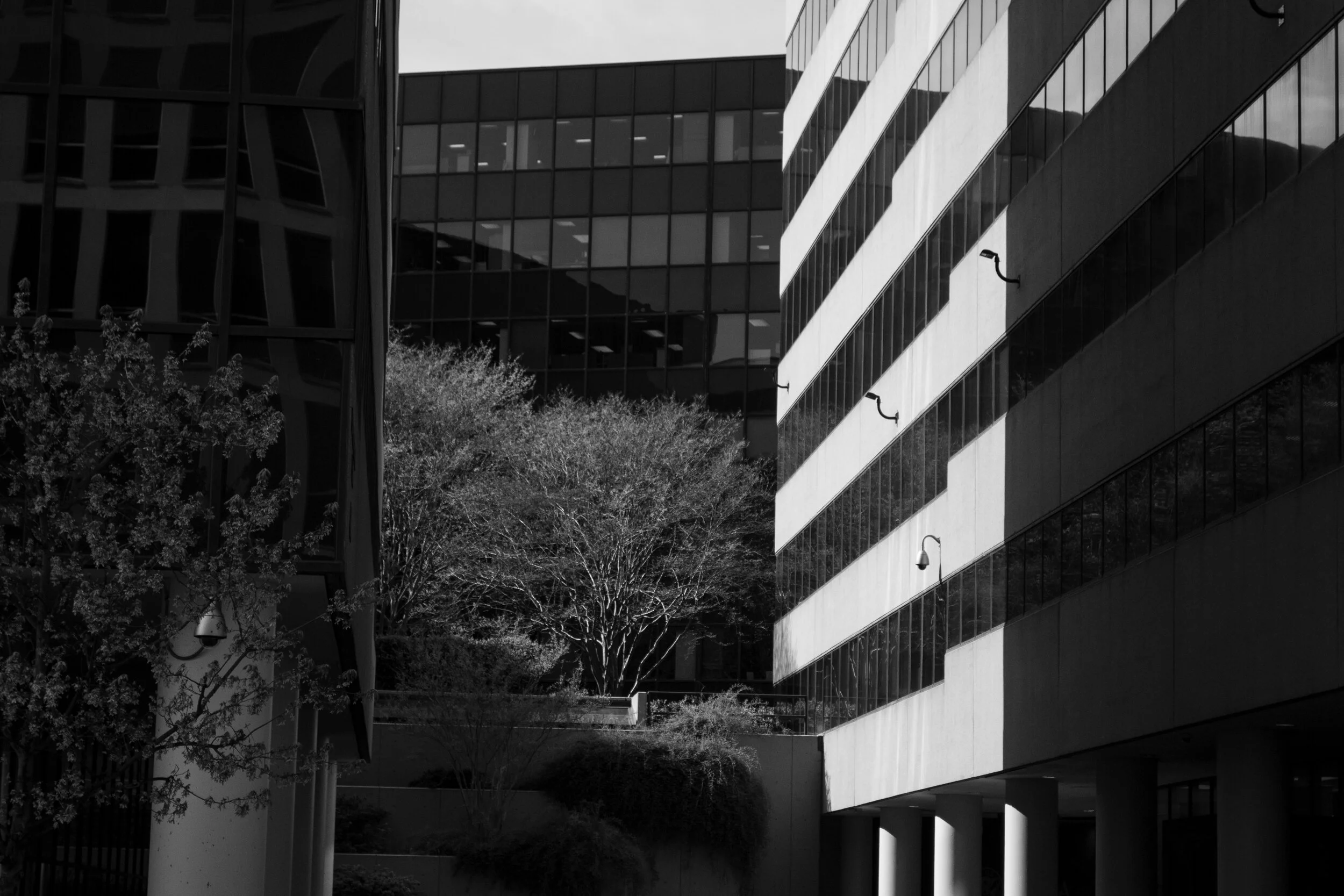 James Dingman_004.JPG