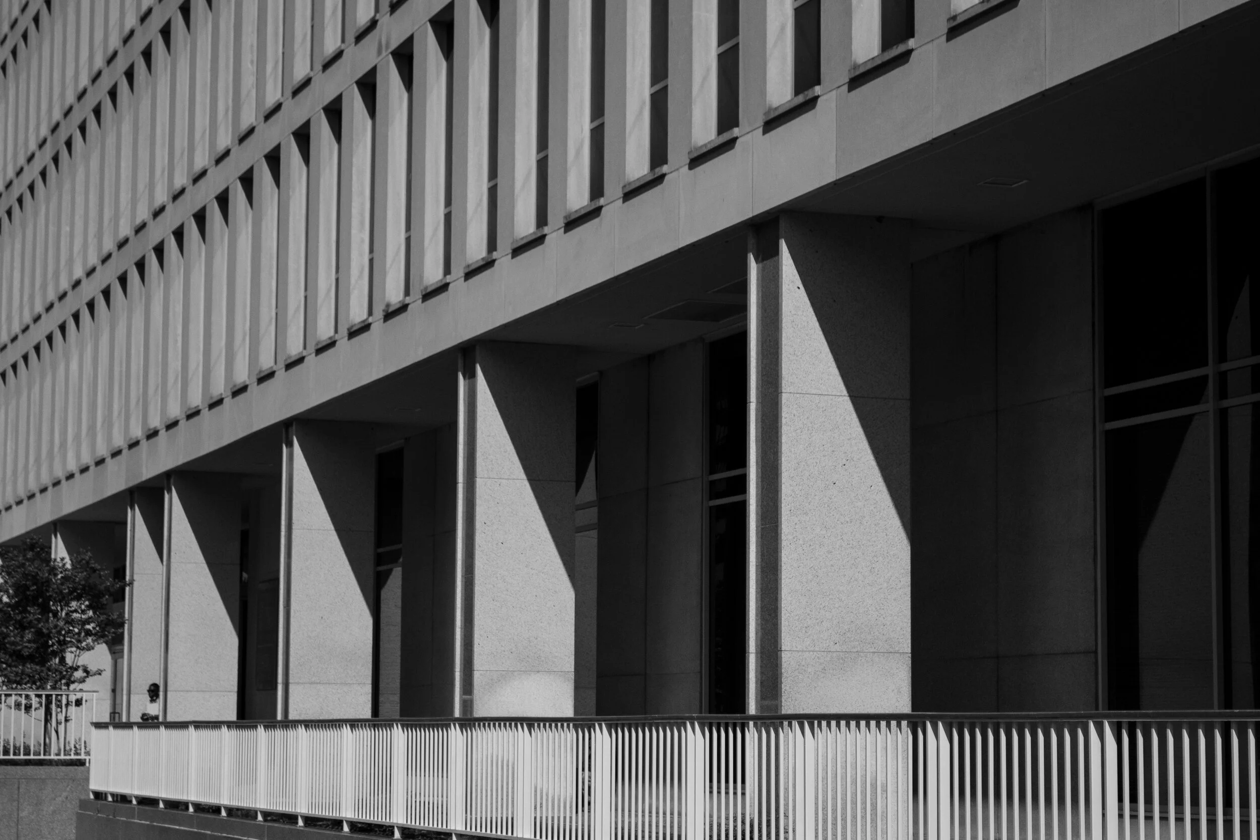 James Dingman_005.JPG