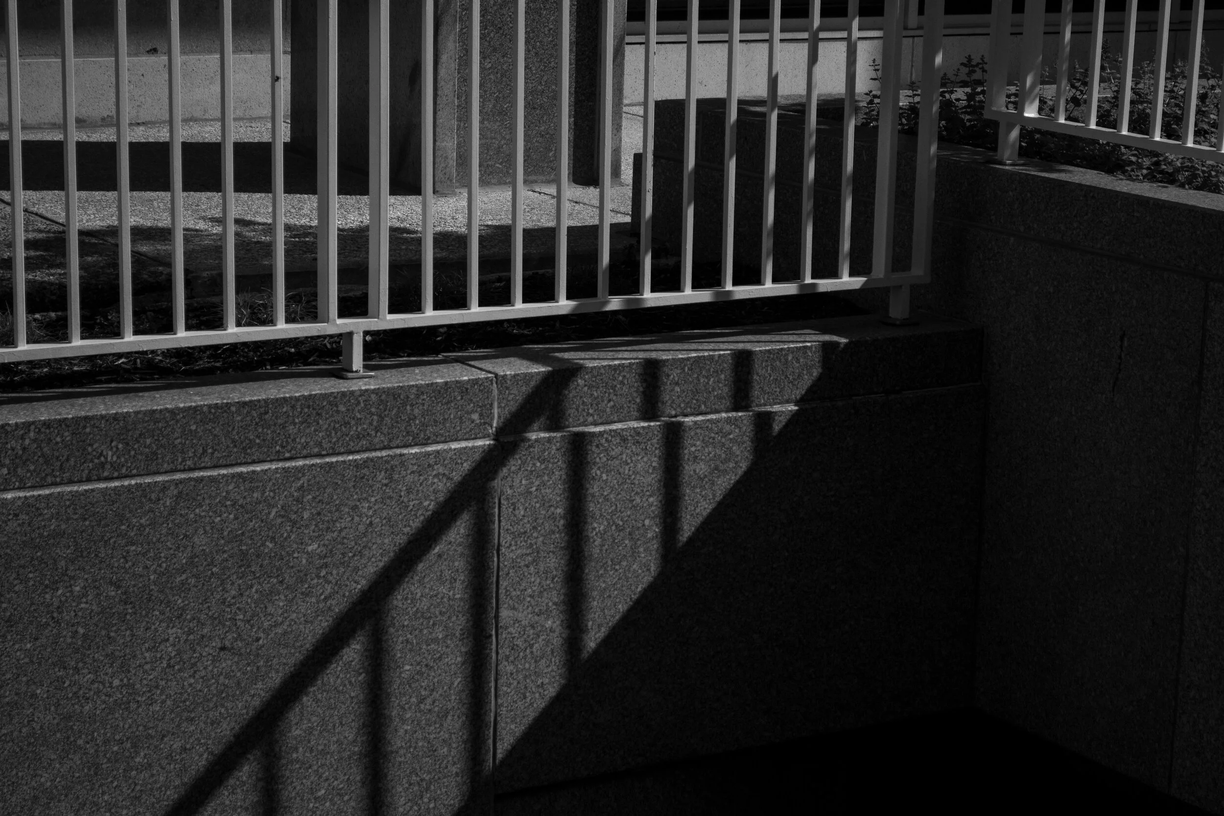 James Dingman_006.JPG