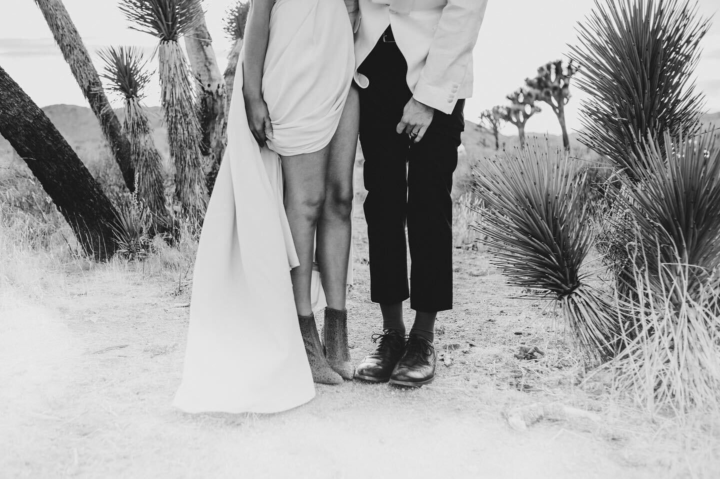 A favorite from Ava + Reed&rsquo;s Joshua Tree elopement in October.  The quirky details are always my favorites ✨