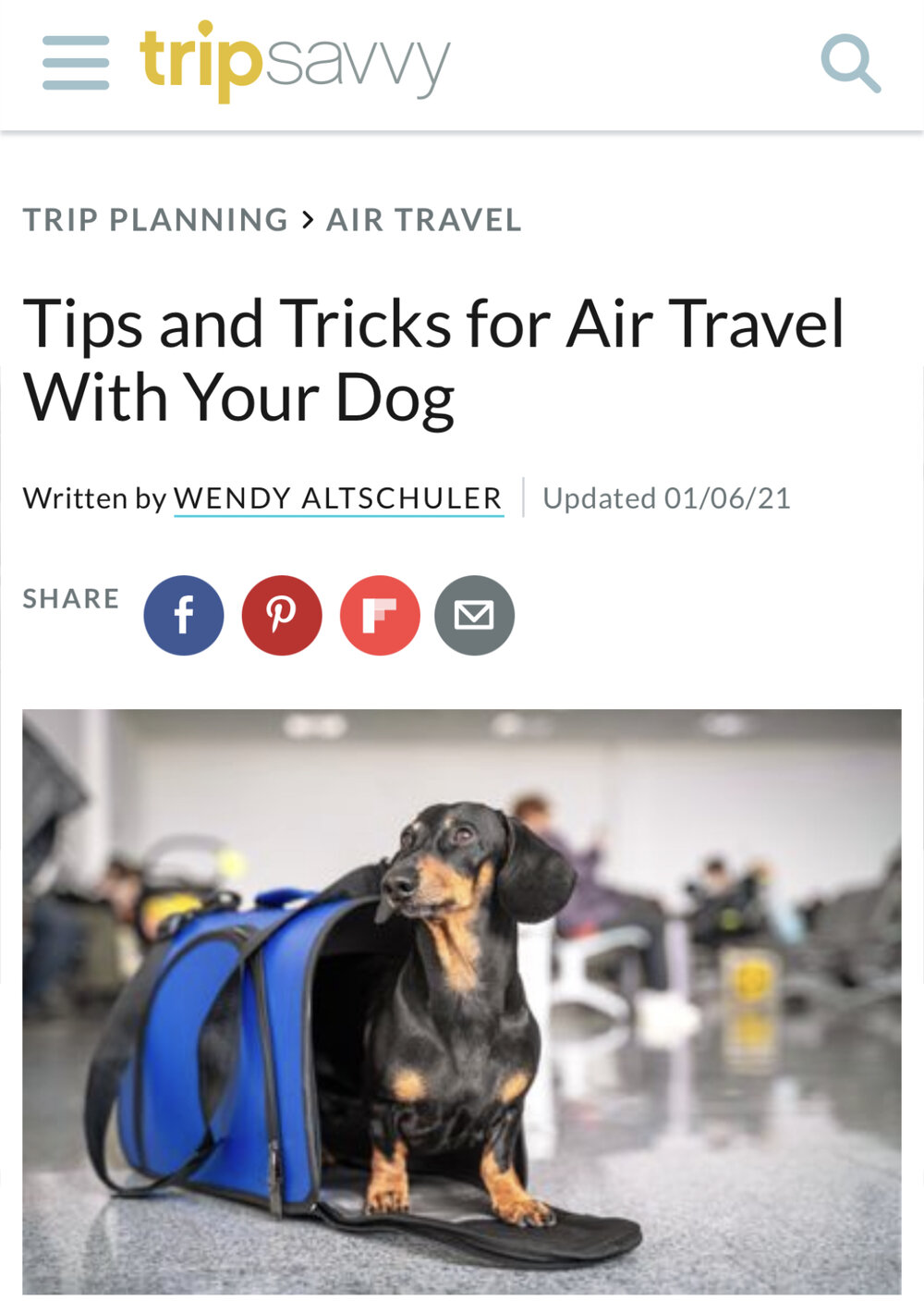  Tips and Tricks for Air Travel With Your Dog