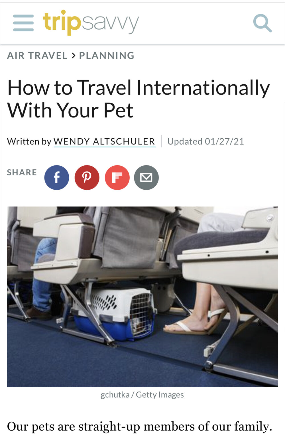 How to Travel Internationally With Your Pet