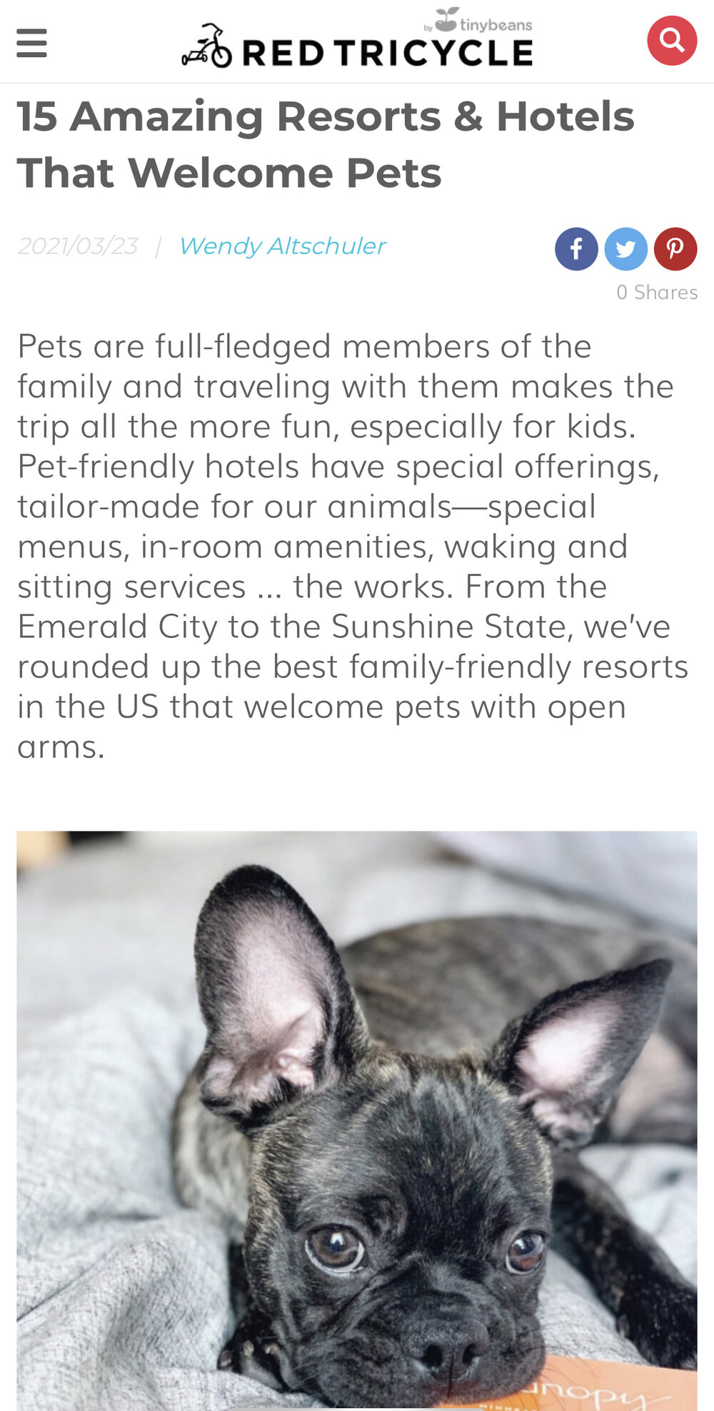 15 Amazing Resorts &amp; Hotels That Welcome Pets