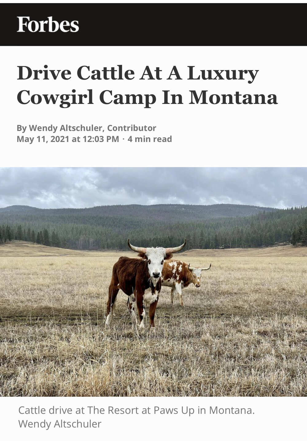 Drive Cattle At A Luxury Cowgirl Camp In Montana