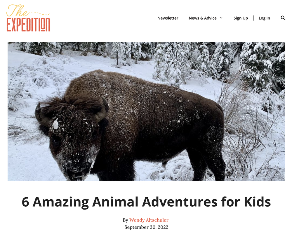6 Amazing Animal Adventures for Kids