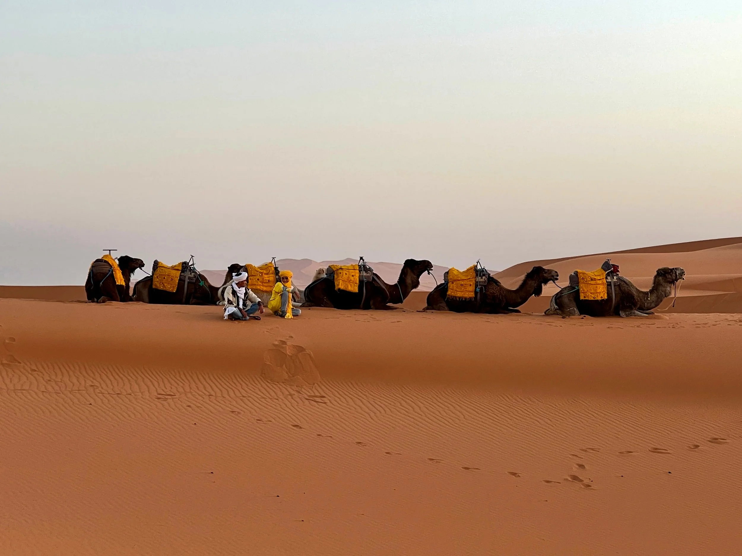 Destinations for Adventure Seekers &amp; Curious Travelers—2019