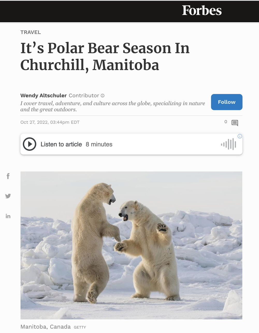 It’s Polar Bear Season In Churchill, Manitoba