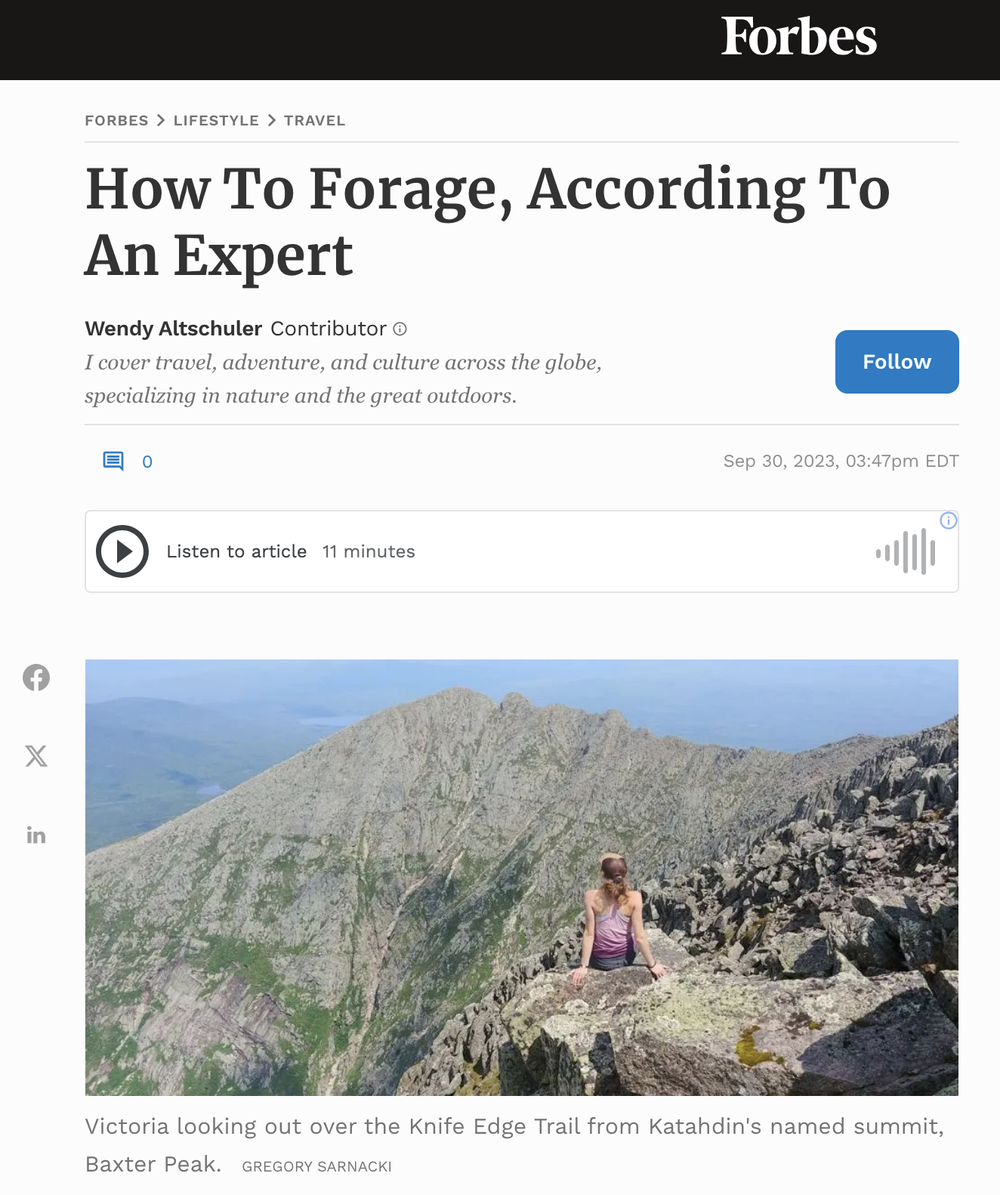 How To Forage, According To An Expert
