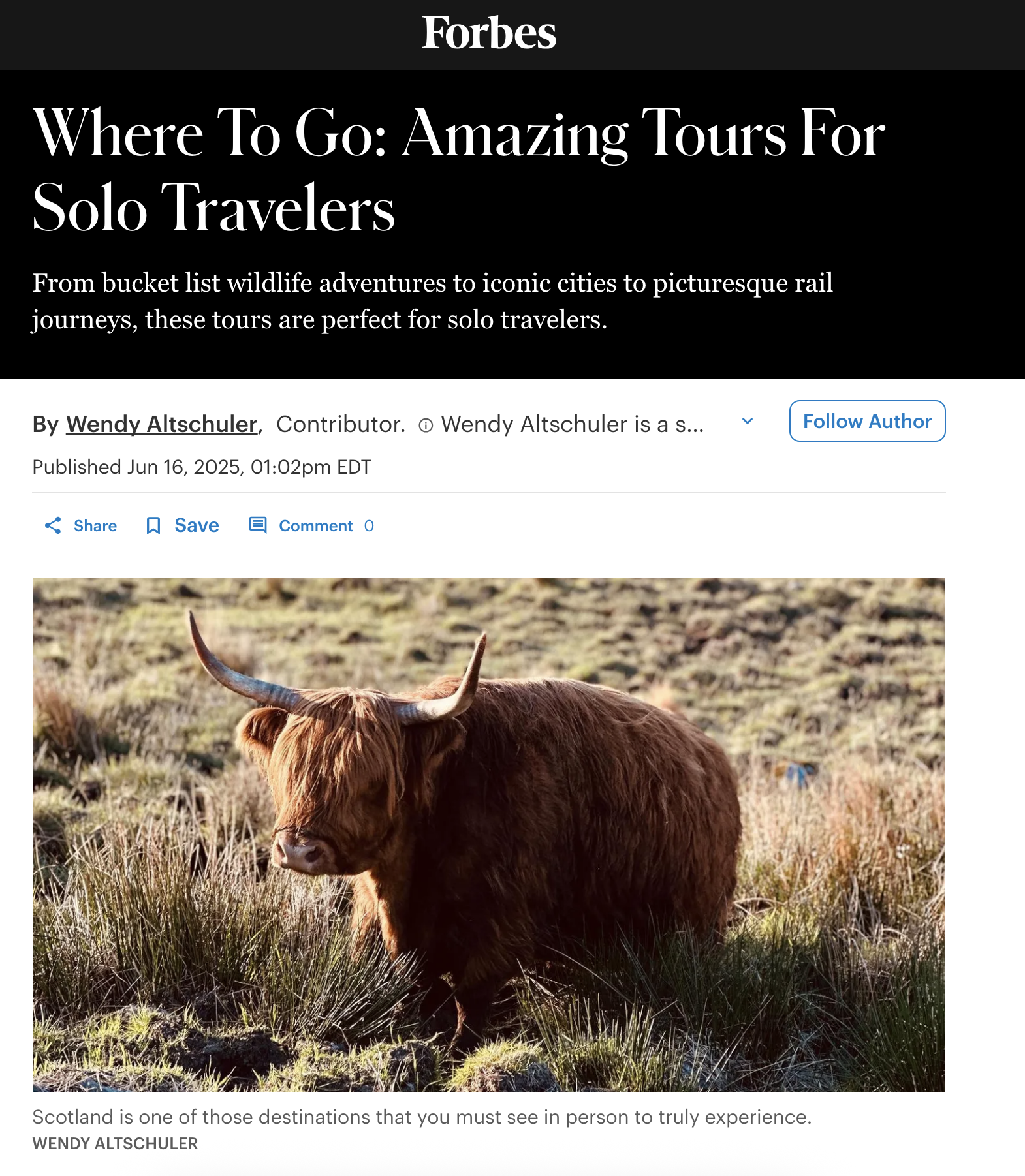 Where To Go: Amazing Tours For Solo Travelers