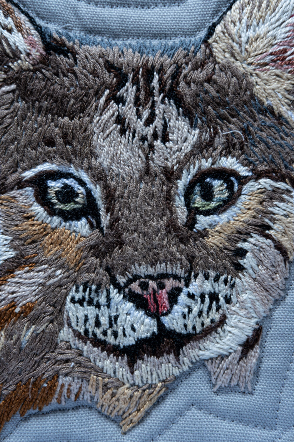 Bobcat detail 