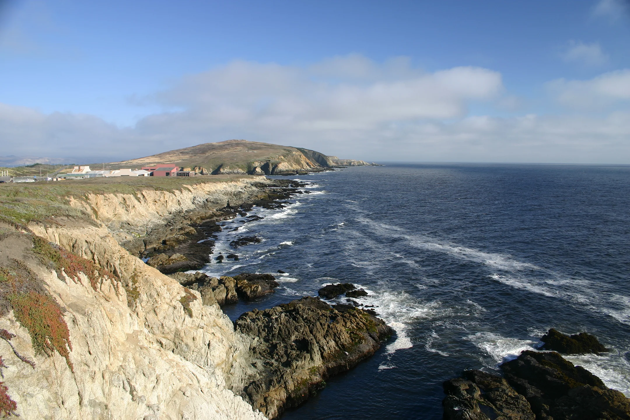 Bodega Marine Reserve. Photo: Jackie Sones.