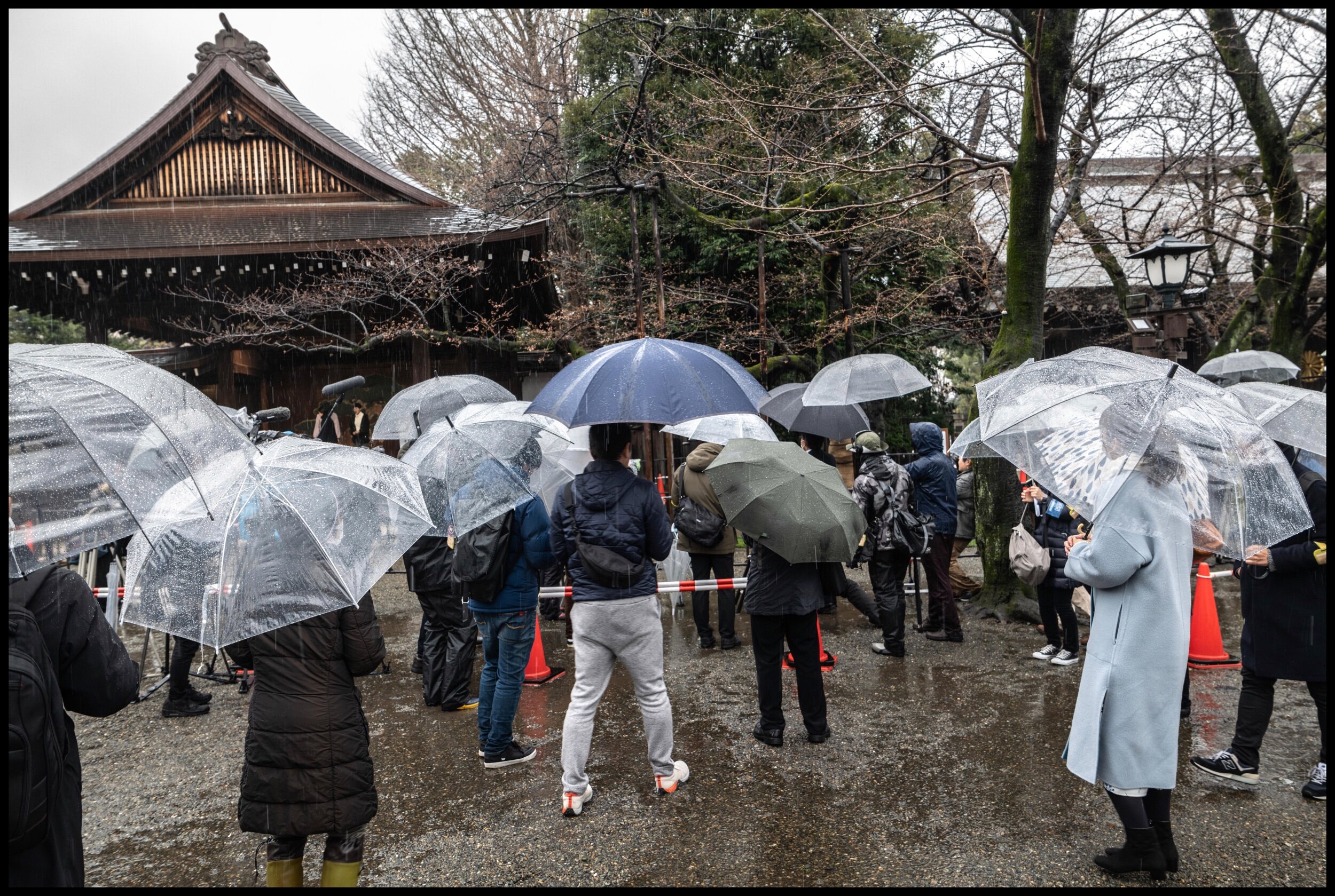  The Japan Meteorological Agency (JMA) announced on March 14th that it observed cherry blossoms blooming in central Tokyo, the earliest ever recorded in observation history.  The official observation, carried out by a staff member of the Tokyo Metrop