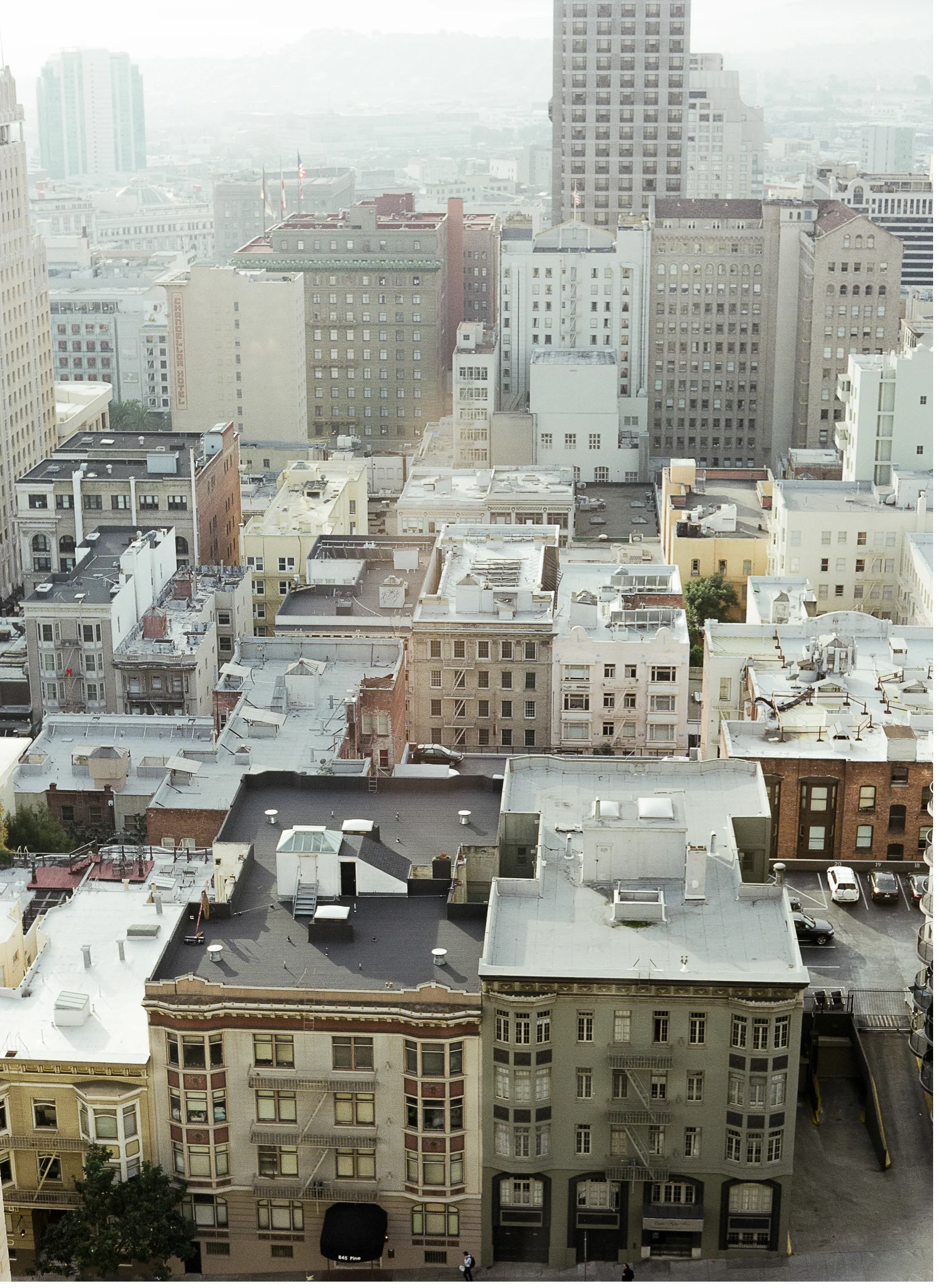 RobinJolin_SanFrancisco_11-1.jpg
