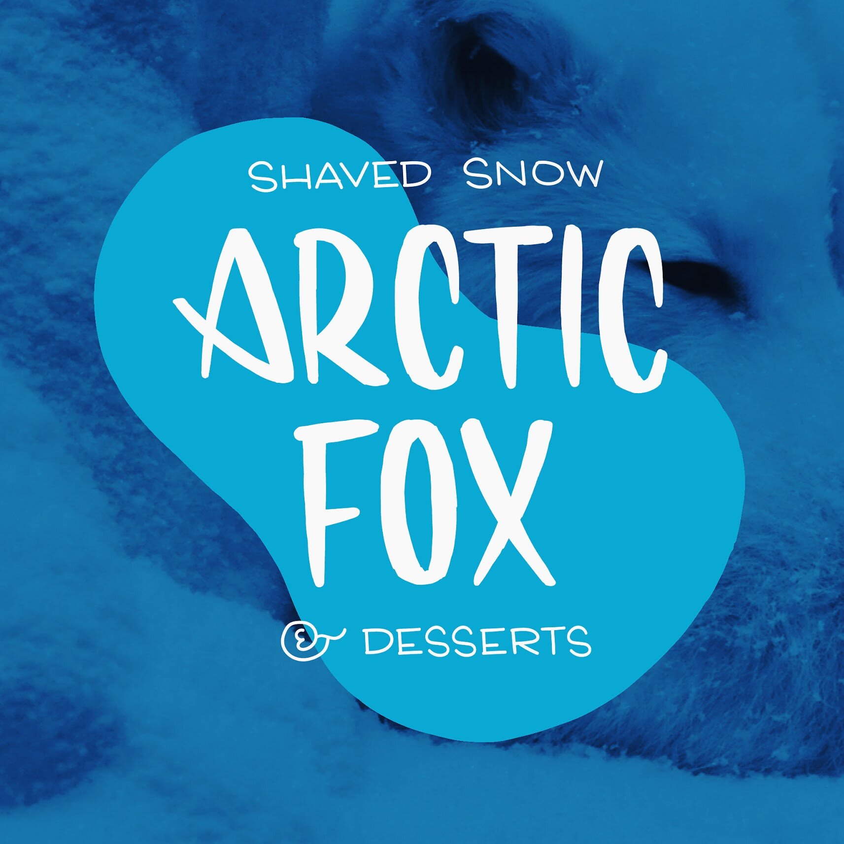 Local Rancho Cordova Businesses - Arctic Fox